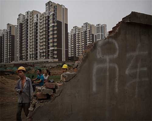 李子大量上市你吃了吗？文末这份采摘地图快收藏