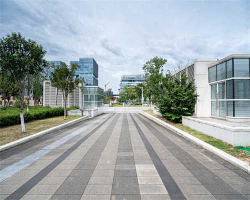 西安位居国庆假期热门租车城市前十名 “大交通+落地租”让人们出行更便捷