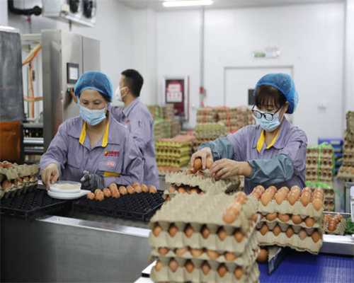 百年商业街沈阳太原街全面开启商圈经济走向复苏