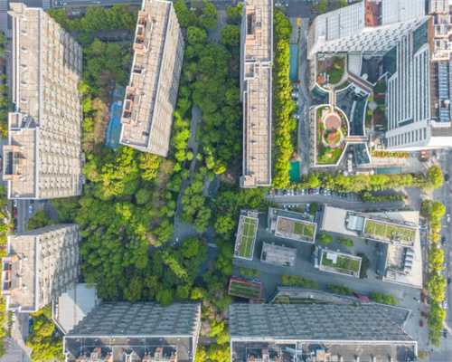 香港小学播南京大屠杀史实吓哭学生遭家长投诉，教育局回应
